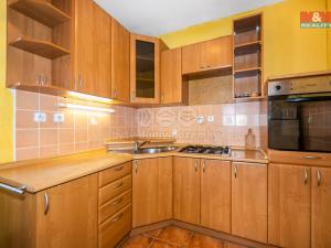 Pronájem obchodního prostoru, Domažlice - Dolejší Předměstí, Husova třída, 600 m2