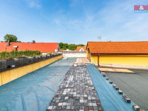 Pronájem obchodního prostoru, Domažlice - Dolejší Předměstí, Husova třída, 600 m2