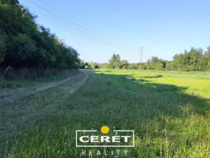 Prodej pole, Staňkovice - Tvršice, 45996 m2