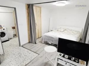 Prodej bytu 1+kk, Kralupy nad Vltavou, Přemyslova, 133 m2