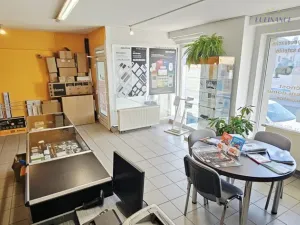 Prodej bytu 1+kk, Kralupy nad Vltavou, Přemyslova, 133 m2