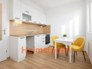 Pronájem bytu 1+kk, Karviná - Hranice, Slovenská, 30 m2