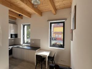 Pronájem bytu 1+kk, Brno - Líšeň, Trnkova, 31 m2