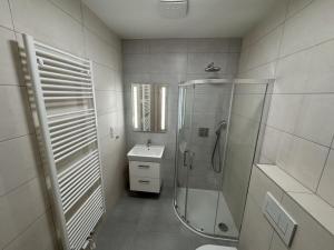 Pronájem bytu 1+kk, Brno - Líšeň, Trnkova, 31 m2