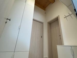 Pronájem bytu 1+kk, Brno - Líšeň, Trnkova, 31 m2