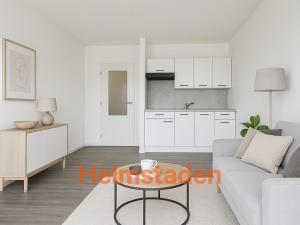 Pronájem bytu 1+1, Frýdek-Místek - Frýdek, Bruzovská, 35 m2