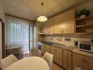 Pronájem bytu 3+1, Hodonín, B. Němcové, 89 m2