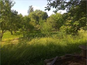 Prodej zahrady, Mohelnice, 1069 m2