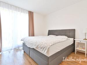 Pronájem bytu 3+kk, Brno, Řehořova, 83 m2