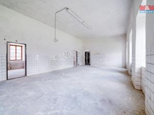 Pronájem obchodního prostoru, Plzeň - Východní Předměstí, sady 5. května, 330 m2