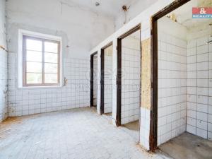 Pronájem obchodního prostoru, Plzeň - Východní Předměstí, sady 5. května, 330 m2