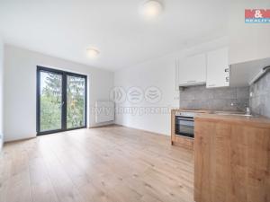 Pronájem bytu 1+kk, Třemošná, Školní, 32 m2