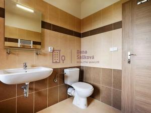 Pronájem bytu 3+kk, Jindřichův Hradec, sídliště Vajgar, 58 m2