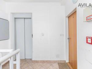 Pronájem bytu 6+kk a větší, Benešov, Dukelská, 140 m2