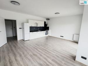 Pronájem bytu 1+kk, Plzeň, Pilařská, 43 m2
