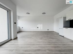 Pronájem bytu 1+kk, Plzeň, Pilařská, 43 m2