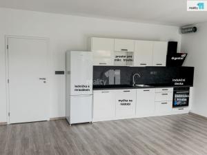 Pronájem bytu 1+kk, Plzeň, Pilařská, 43 m2