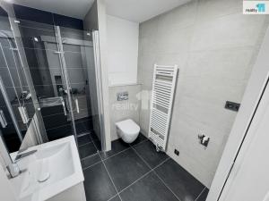 Pronájem bytu 1+kk, Plzeň, Pilařská, 43 m2