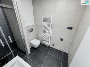 Pronájem bytu 1+kk, Plzeň, Pilařská, 43 m2