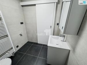Pronájem bytu 1+kk, Plzeň, Pilařská, 43 m2