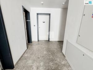 Pronájem bytu 1+kk, Plzeň, Pilařská, 43 m2