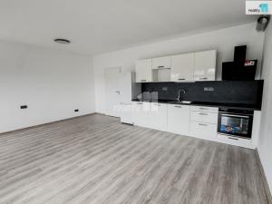 Pronájem bytu 1+kk, Plzeň, Pilařská, 43 m2