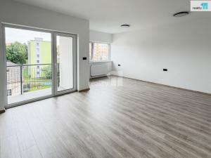 Pronájem bytu 1+kk, Plzeň, Pilařská, 43 m2