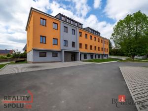Prodej bytu 1+1, Světnov, 36 m2