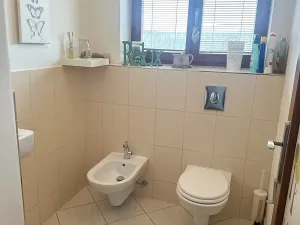 Pronájem rodinného domu, Roztoky, Nad Vltavou, 200 m2