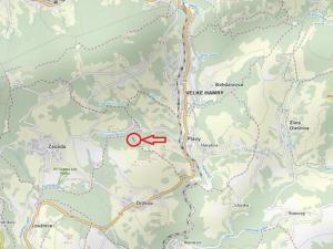 Prodej lesa, Plavy, 1810 m2