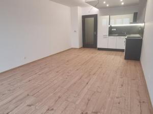 Pronájem bytu 1+kk, Pardubice - Zelené Předměstí, Pod Vinicí, 42 m2