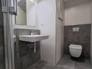 Pronájem bytu 1+kk, Pardubice - Zelené Předměstí, Pod Vinicí, 42 m2