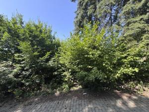 Prodej pozemku pro bydlení, Psáry, Na Návsi, 346 m2