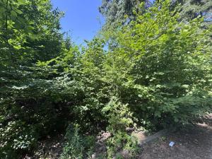 Prodej pozemku pro bydlení, Psáry, Na Návsi, 346 m2