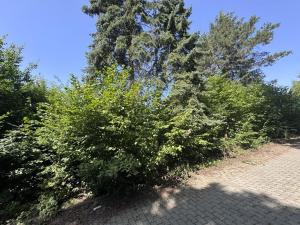 Prodej pozemku pro bydlení, Psáry, Na Návsi, 346 m2