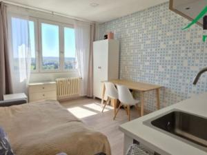 Pronájem bytu 1+kk, Tachov, Bělojarská, 25 m2
