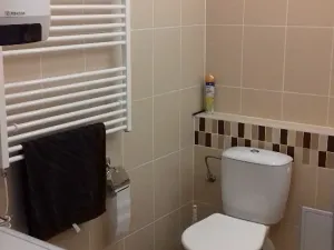 Pronájem bytu 2+kk, Brno, Křehlíkova, 54 m2
