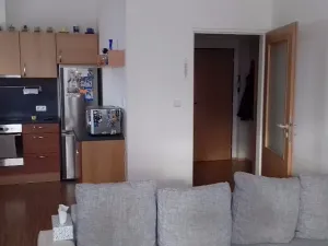 Pronájem bytu 2+kk, Brno, Křehlíkova, 54 m2