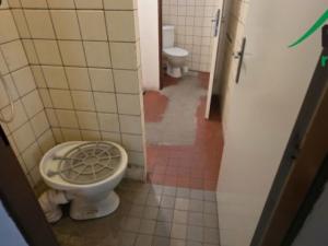 Pronájem výrobních prostor, Planá, Plzeňská, 249 m2