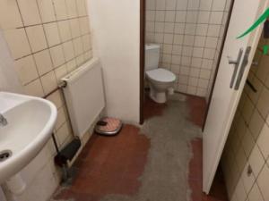 Pronájem výrobních prostor, Planá, Plzeňská, 249 m2