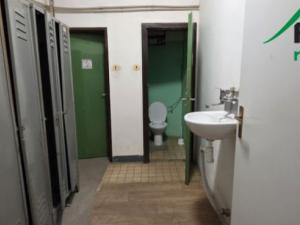 Pronájem výrobních prostor, Planá, Plzeňská, 249 m2