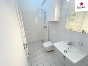 Pronájem bytu 2+1, Praha - Libeň, Střížkovská, 52 m2