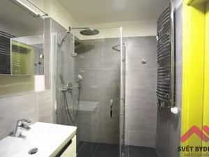 Pronájem bytu 1+kk, Praha - Karlín, Sokolovská, 31 m2