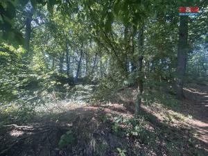 Prodej lesa, Vysoká Pec - Drmaly, 4812 m2