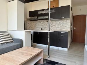 Pronájem bytu 1+1, Plzeň, Macháčkova, 36 m2