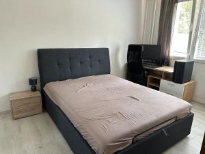 Pronájem bytu 1+1, Plzeň, Macháčkova, 36 m2