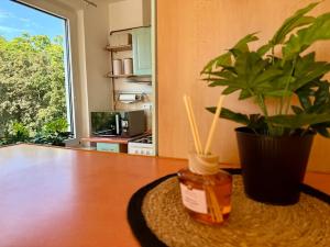 Prodej bytu 2+kk, Praha - Kobylisy, Havlínova, 40 m2
