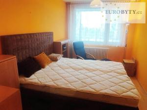 Pronájem bytu 2+1, Praha - Záběhlice, Ostružinová, 53 m2