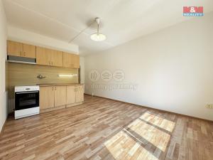 Pronájem bytu 1+kk, Karlovy Vary - Drahovice, Východní, 20 m2