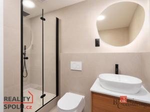 Pronájem bytu 3+kk, Litoměřice - Předměstí, Družstevní, 52 m2